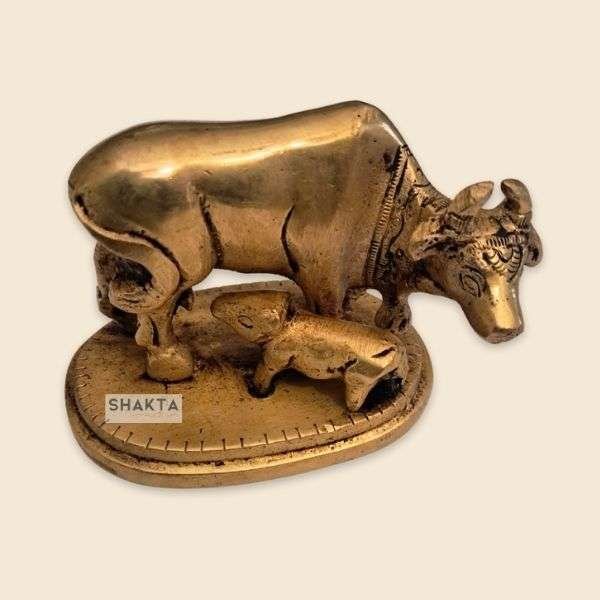 Cow Idol